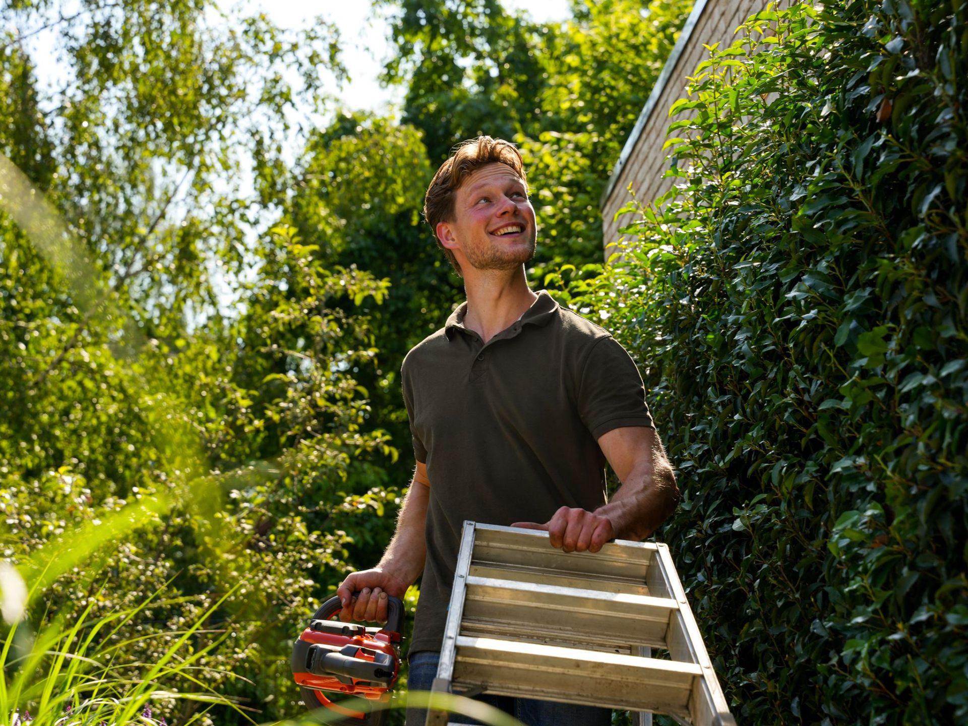 Hovenier met heggenschaar op de ladder