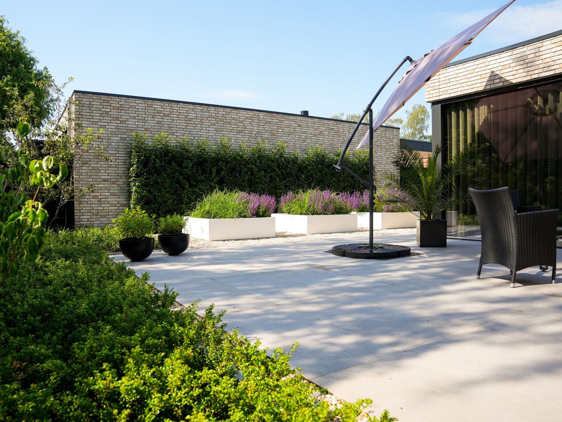 Modern terras met witte plantenbakken en lavendel