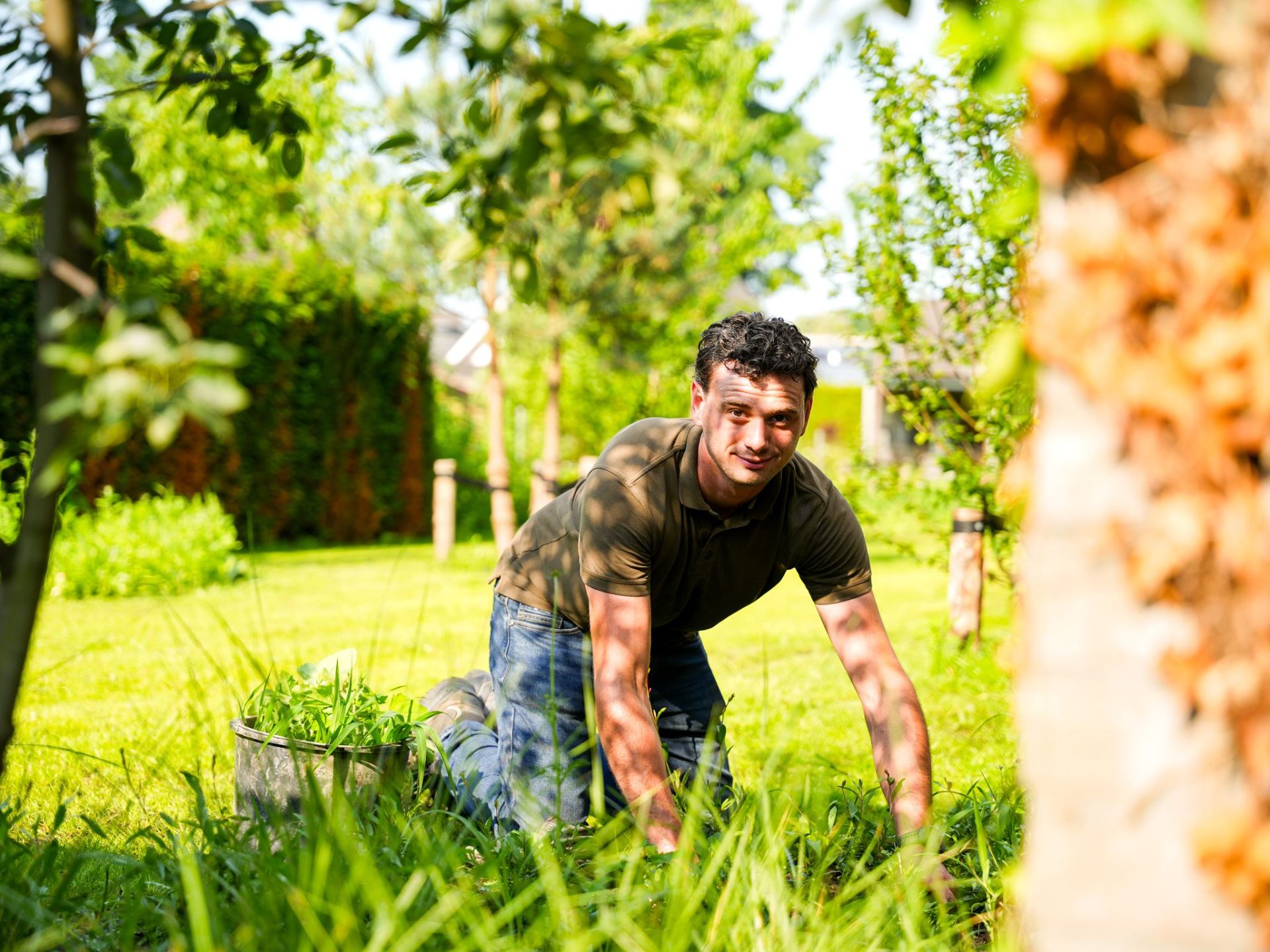 Hovenier plant vaste planten aan